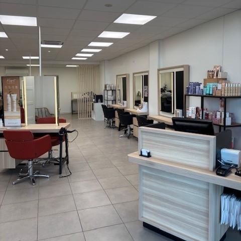 rénovation salon