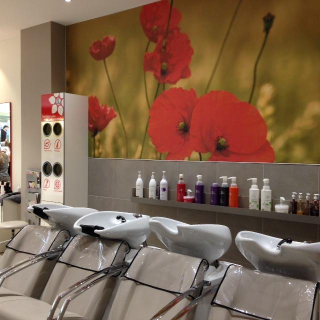Visuel salon