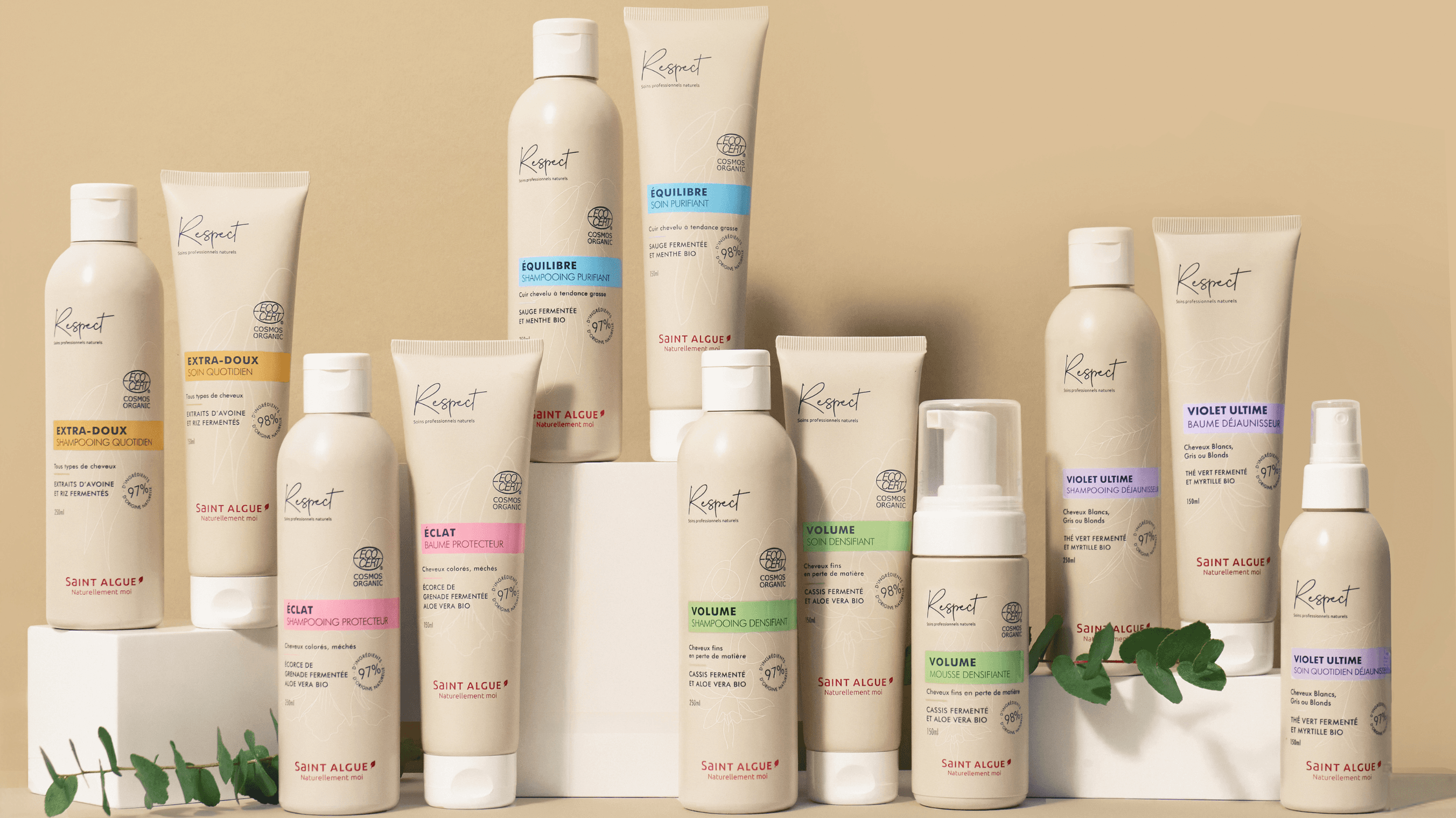 Gamme de produits Respect Saint Algue